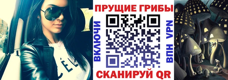 Галлюциногенные грибы прущие грибы  hydra как зайти  Новосибирск 